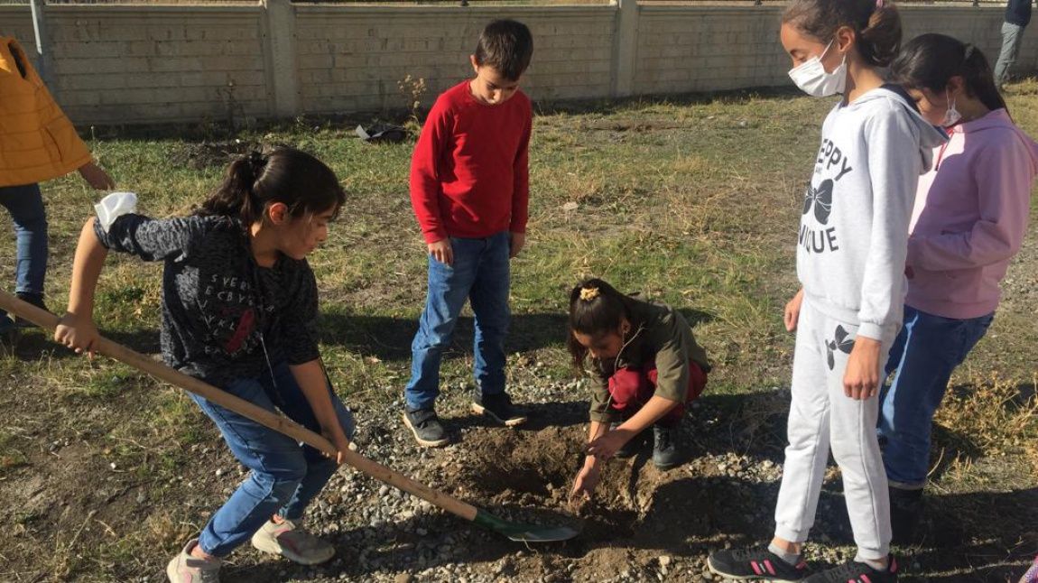 Okulumuz Öğrencileri Tarafından Ağaç Dikme Etkinliği Yapıldı.